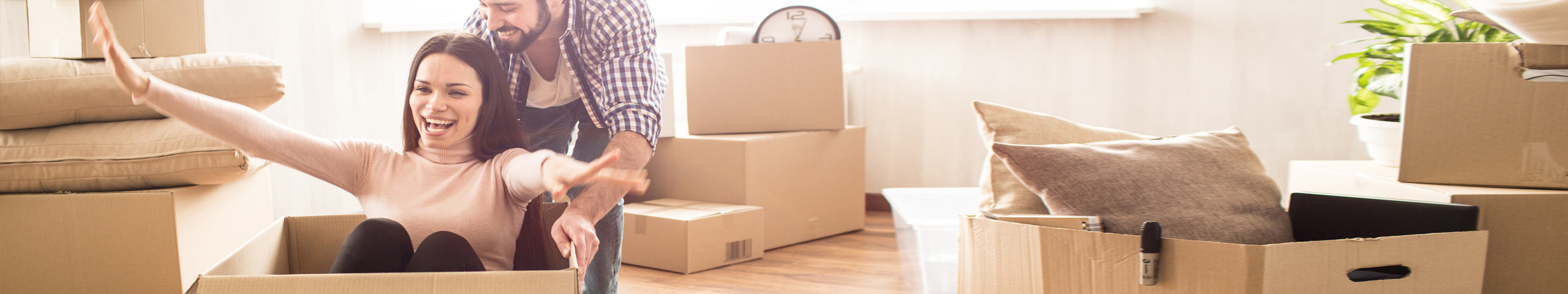 Myterra GmbH & Co. KG Myterra GmbH & Co. KG